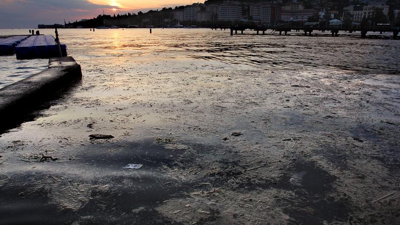 V morju je bilo te dni opaziti precej rumenorjavih lis. Ne gre za cvetenje alg, 