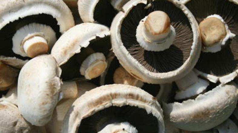 Privoščite si okus po jeseni!