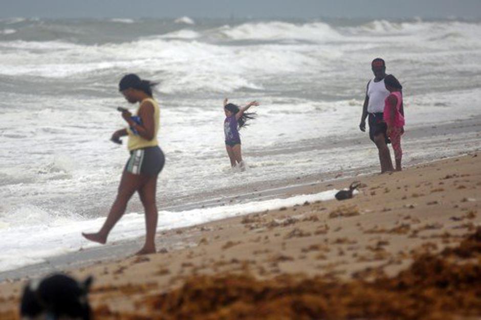 Irma | Avtor: Profimedia