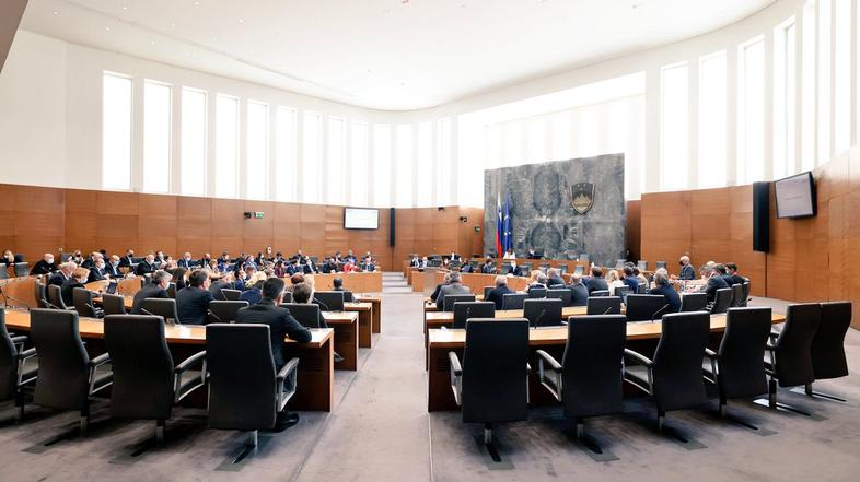 Državni zbor parlament