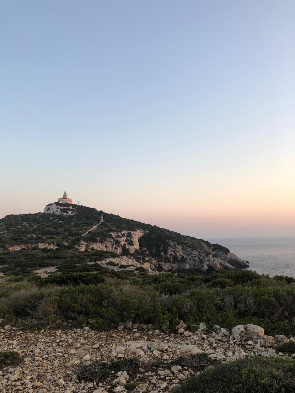 Otok Sušac | Avtor: Martin Pavlovec