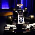 Williams je moder in ima podoben bel trak kot v devetdesetih. (Foto: AT&T Willia