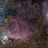 Orion