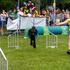 Festival za ljubitelje živali 2026