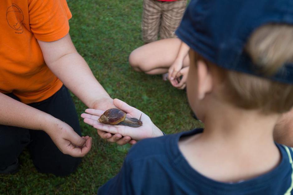 sejem 2016 | Avtor: Anže Petkovšek