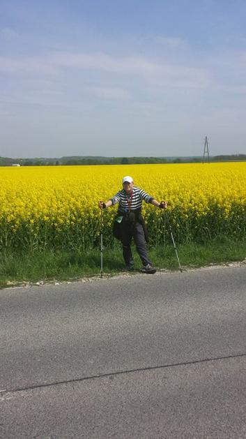 Enes Musić hoja topli obroki zbiranje denar