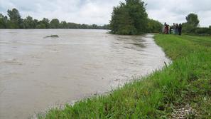 Sava se v svojem spodnjem delu počasi umirja. (Foto: Nina Oštrbenk)