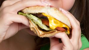 hamburger, hitra hrana