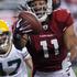 NFL wild card Cardinals Packers 2010 Fitzgerald
