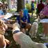 Festival za ljubitelje živali 2026