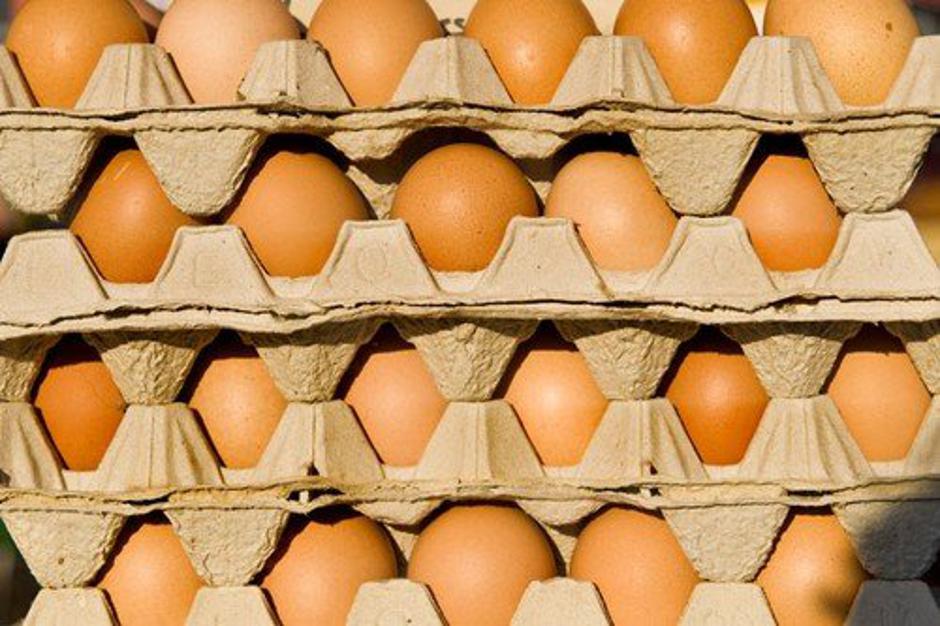 Jajca | Avtor: profimedia