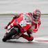 Nicky Hayden (Ducati)