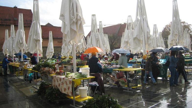 V dveh letih se je od 50 postavljenih pet dežnikov že tudi pokvarilo. (Foto: Bar