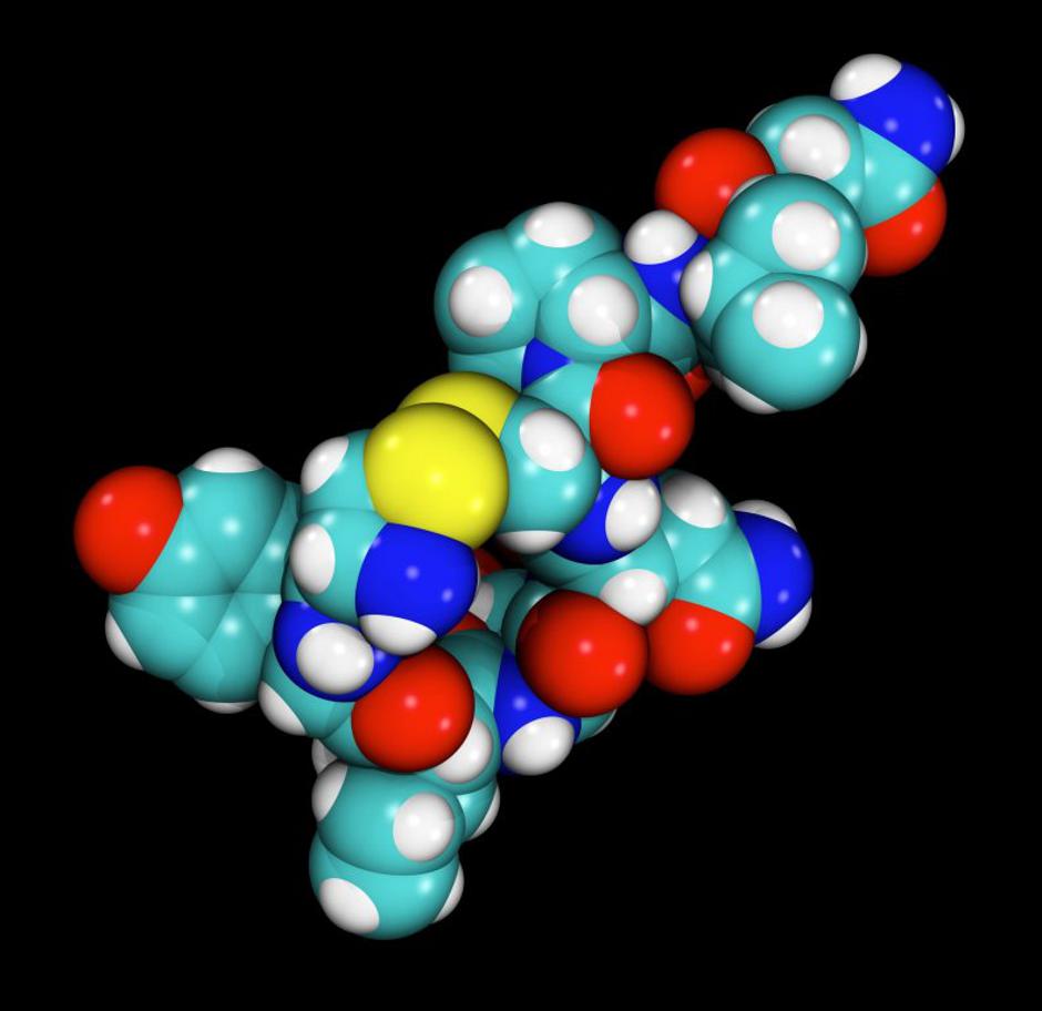 Oksitocin | Avtor: Profimedias