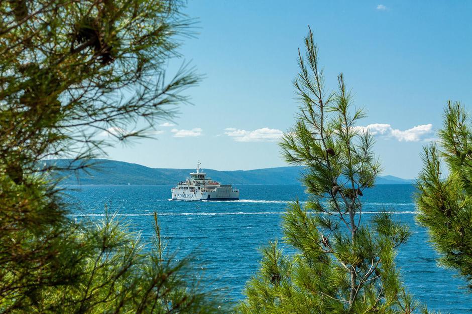 trajekt | Avtor: Profimedia