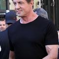 Sylvester Stallone