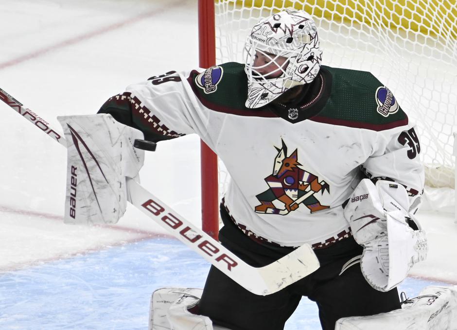 Arizona Coyotes | Avtor: Profimedia