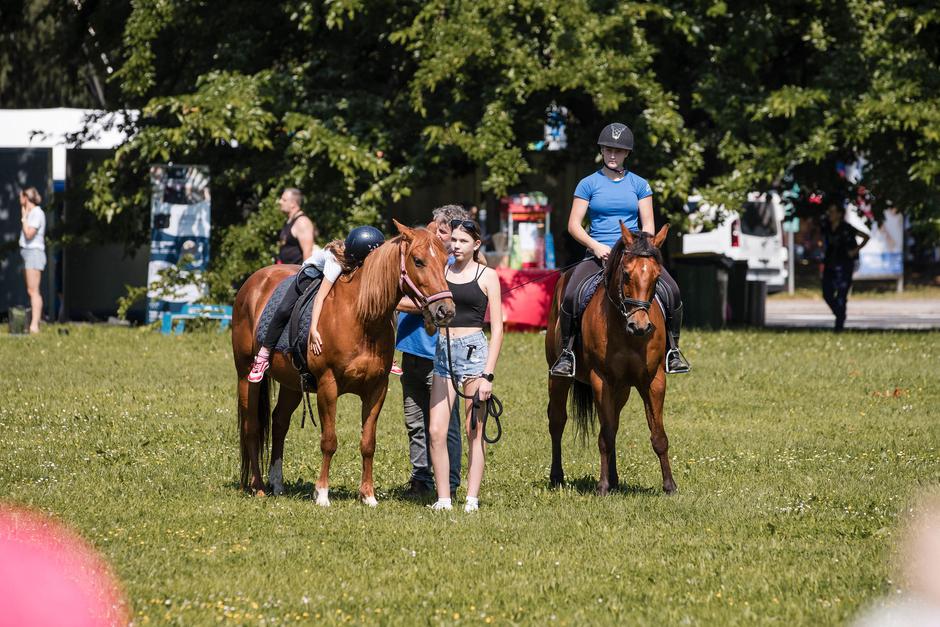 Festival za ljubitelje živali 2025 | Avtor: Cimet Studio