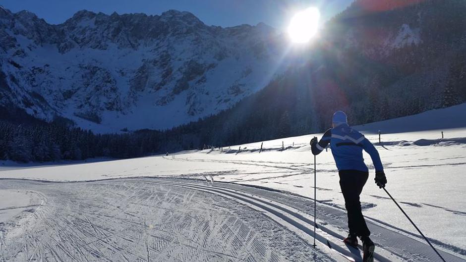 Sejem Alpe-Adria | Avtor: Gospodarsko razstavišče