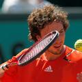 Gulbis