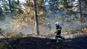 Gašenje požara v gozdu v naselju Voglje, občina Šenčur