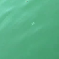 Meduza