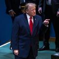 Donald Trump ZN