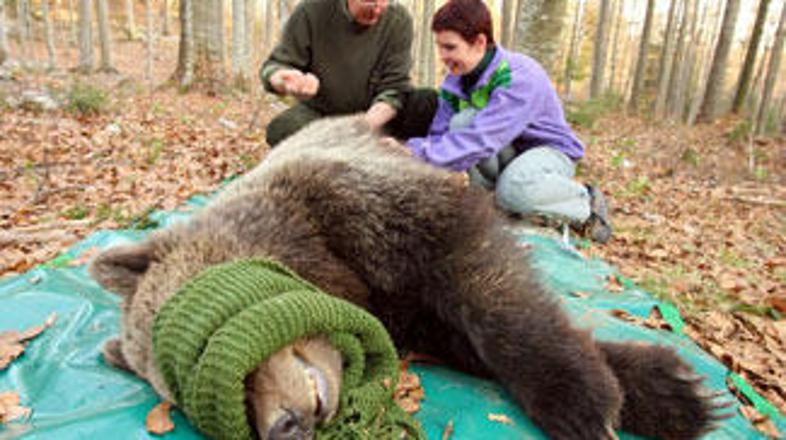 Društvo za osvoboditev živali meni, da je odstrel nezakonit.