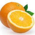 Koncentracija vitamina C v mesu pomaranč je dvakrat tolikšna kot v olupku in kar