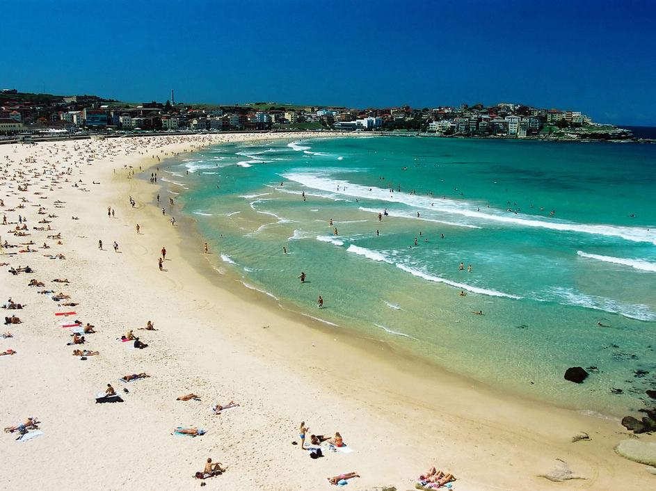 Mnoge plaže so prazne zaradi morskih psov. Za kopanje so posebej varovane: od mo