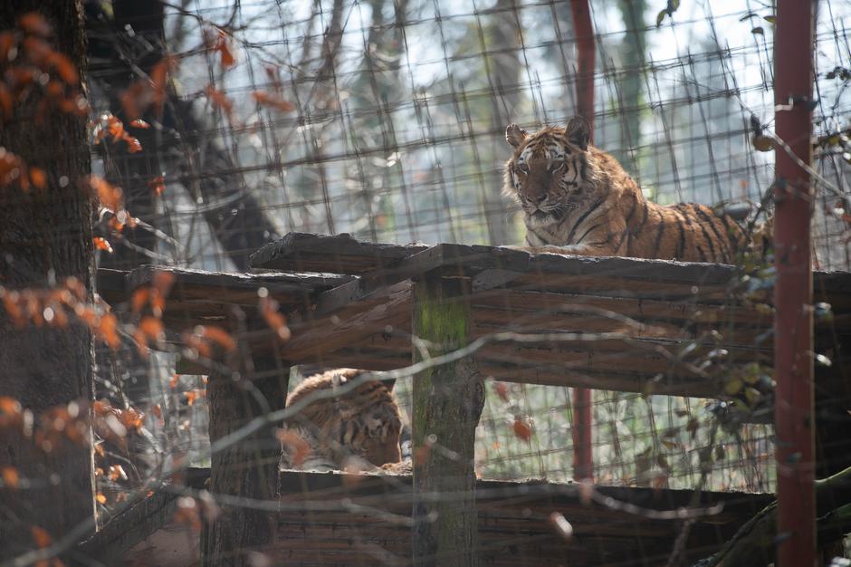 Zoo Park Rožman | Avtor: Anže Petkovšek