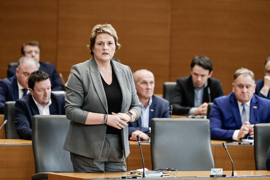 interpelacija Boštjan Poklukar, Jelka Godec | Avtor: Saša Despot