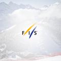 fis logo