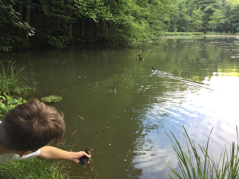 Reševanje | Avtor: Katarina Denac