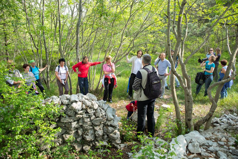 Festival Kraška gmajna | Avtor: Festival Kraška gmajna