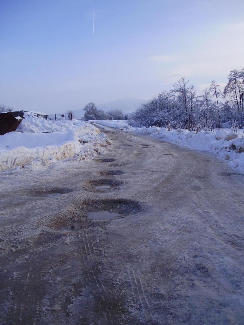  | Avtor: Žurnal24 main