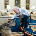 Joe Biden pes