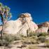 Joshua Tree National Park, Kalifornija, ZDA