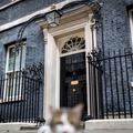 Downing Street 10