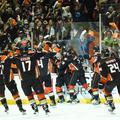 anaheim ducks nhl končnica