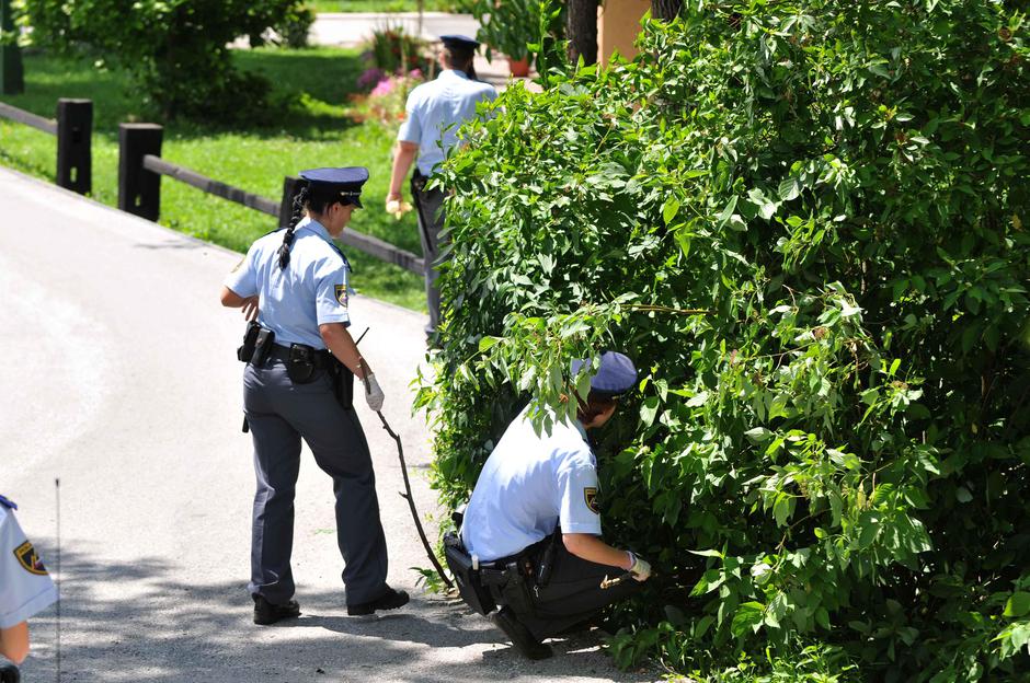 umor, Ig, I%C5%BEanska cesta 210, Kitajci | Avtor: Žurnal24 main