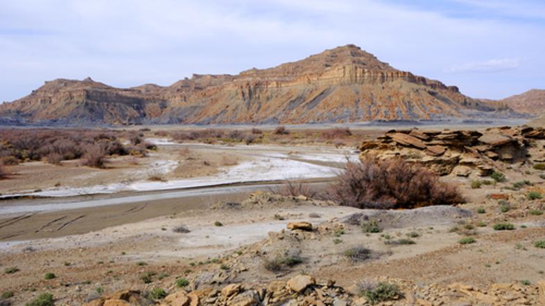 Puščava v ameriški zvezni državi Arizona.