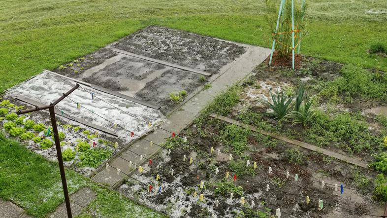 Nevihta s točo v Ljubljani