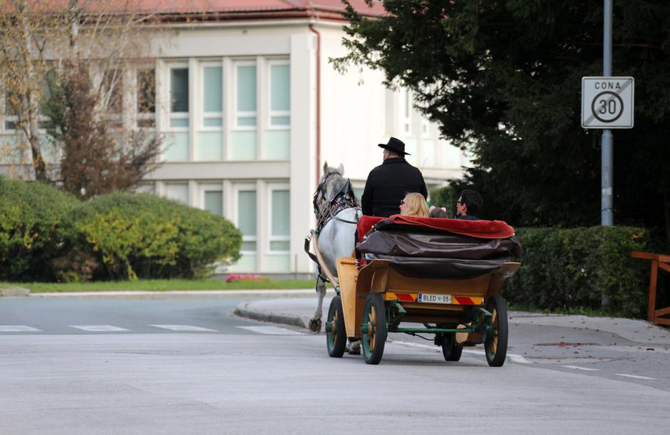 Fijakerji | Avtor: Profimedia