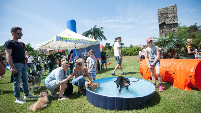 Festival za ljubitelje živali v Novi Gorici