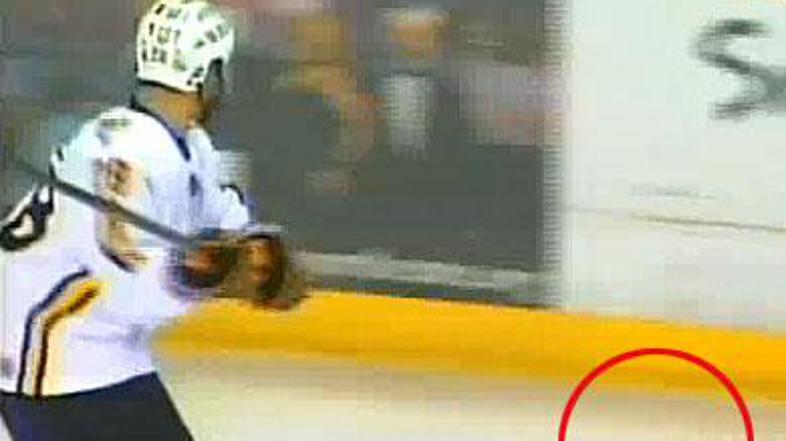 Eden zadnjih trenutkov netopirjevega življenja. (Foto: YouTube)