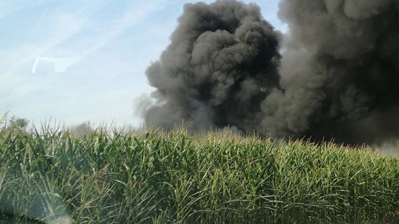 požar Straža Ekosistemi