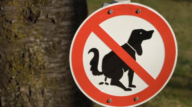 Zbrani denar od kazni bo Dunaj namenil čiščenju parkov in cest.