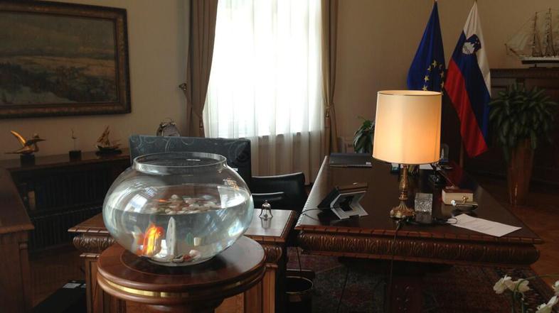 Pahor in zlata ribica