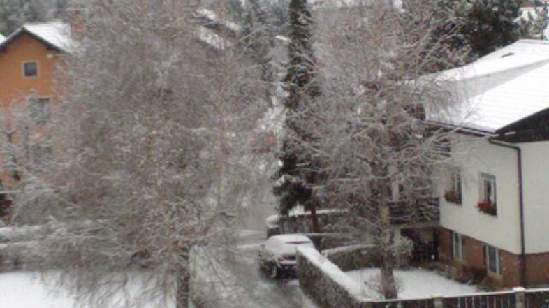 V Kranju je zapadlo nekaj centimetrov snega. (Foto: Bralka Mili)